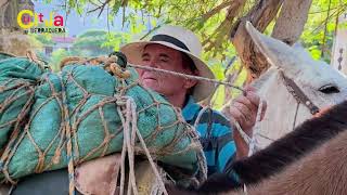 Así es el pueblo más silencioso de Colombia - Acento Santandereano