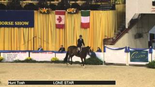 572 LONE STAR Hunt Tosh, Class 85 High Performance Working Hunter