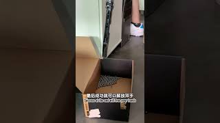 农业播种用科技， 自动播种前期测试！ #自动播种机 #农业自动化 #农业 #农业种植 #现代化农机 #sowing  #plantation  #automation #agriculture #农业