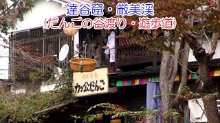 達谷窟・厳美渓(だんごの谷渡り・遊歩道)