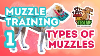 Muzzle Training | Part 1: Types of Muzzles | Ready, Set…Train!