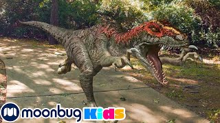 5 HORAS ¡Los dinosaurios T-Rex y Dino Master han vuelto! | Parque de Atracciones