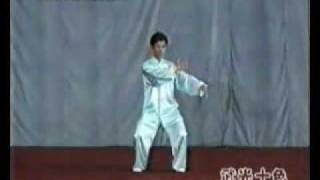 basic taijiquan 3