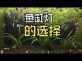 鱼缸灯该如何选择