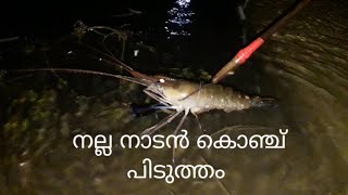 കുമരകംകാരന്റെ കൊഞ്ച് പിടുത്തം.prawn catching at kumarakom. Kerala traditional fishing.👉👉👉