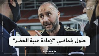 بلماضي يتلقى حلا لإعادة هيبة المنتخب الوطني الجزائر.. شاهد الفيديو اكتشف الحل وشاركنا برايك