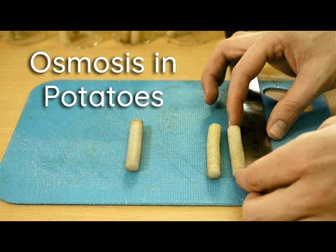 Does boiling affect osmosis?