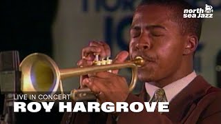 Roy Hargrove - Live at the North Sea Jazz Festival 1995