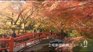 紅と赤　紅葉と欄干 彩りの競演　伊香保・河鹿橋