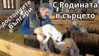 Родината е там, където е сърцето! Стадото на Александър Васов