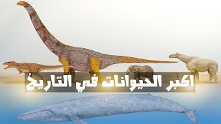 اكبر واضخم الحيوانات في العالم اكبر من الحوت الأزرق