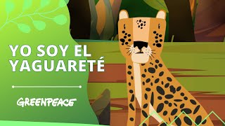 Esto soy yo: el Yaguareté! 🐆