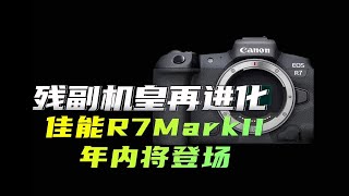 残副机皇再进化，佳能R7Mark2年内将登场