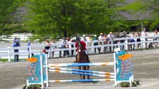 Phillip Dutton at Jersey Fresh 2014 Show Jumping