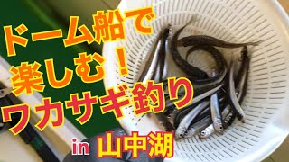 【ワカサギ釣り】山中湖のドーム船で冬でもポカポカ｜2022.12.30