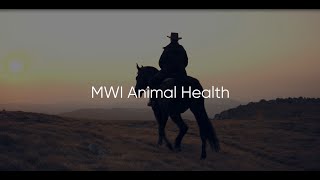 MWI Animal Health: Thinking forward