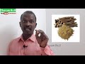 வறட்டு இருமலுக்கு எளிய வீட்டு வைத்திய முறைகள் home remedies for dry cough