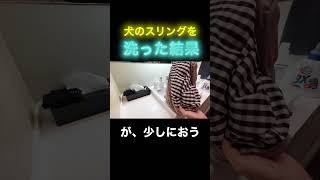 ドブになった‼️‼️‼️みんなも洗おう