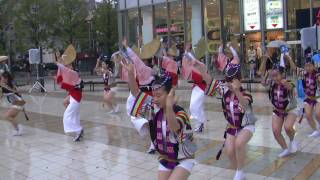 ２００９．５．６　高円寺阿波踊り（飛鳥連）＠錦糸町オリナス