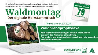 20240304 Waldbrandprophylaxe