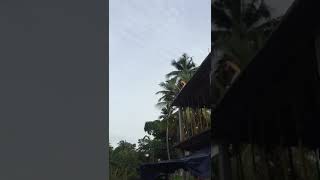 മുഷ്താഖ്... മഴക്കാലങ്ങളിൽ ഇത് ഇവന്റെ സ്ഥിരം പരിപാടിയാ...