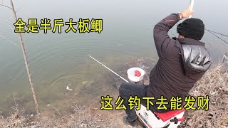 農村水庫開放垂釣第一天，全是半斤的大板鯽，拉魚拉得手發軟【兩個麻瓜】