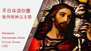 2023.04.10 复活节八日庆星期一 主徒会张伟刚神父主祭 Mandarin Mass celebrated by Fr Luke Zhang, CDD