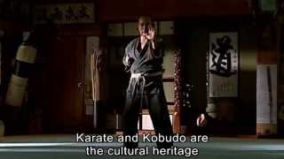 Trailer For Origin of  Karate Trailer