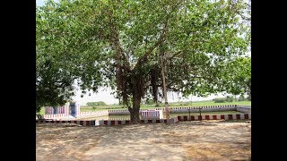 Thirupuliyangudi KaaisiniVendhar Perumal Temple(Nava Tirupathi - Mercury)