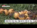 정부 태풍 피해지역 특별재난지역 선포 검토 ytn yes top news