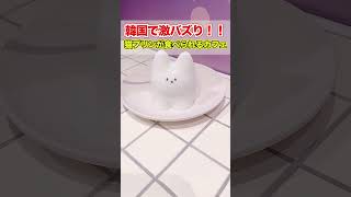 【#tiktok で大バズり】推し活も出来る猫プリンカフェ！君の推しは誰？コメント欄で教えて！【#人マニア 】【#shrots 】