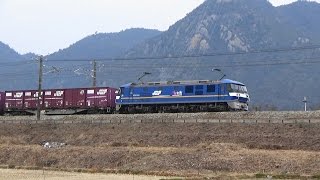 【山陽本線】JR貨物　EF210-309号機　押し太郎　2016年1月28日 （熊山～和気間）