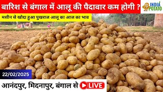 22/02/2025 : बंगाल की आनंदपुर का आज का नया आलू का भाव | New Potato Price in Anandapur - India Potato