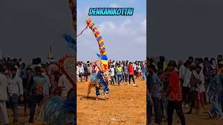 Denkanikottai Festival 2024 / Denkanikottai Adhukattu Pandigai / Denkanikottai Jallikattu 2024 .