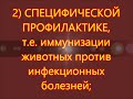 Видеозанятие 8. Профилактика инфекционных болезней