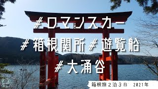 箱根旅行2泊3日とついでに小田原城/ロマンスカー後方展望席/ふるさと納税/夫婦旅