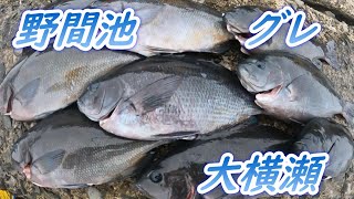 vol36【グレ釣り】野間池・大横瀬