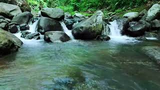 8 Hours Tranquil River Flow for Stress Reduction and Sleep