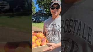 Tasting the Redhaven PEACHES