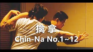 Chin-Na No.1~12 #foryou#SelfDefense#Gongfu#Qinna