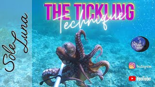 Spearfishing Sardinia: A 'foolproof' technique for catching octopus (The tickling technique)