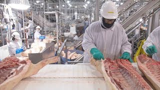 Why Meat Processing Plants Are Vulnerable