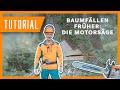 Baum fällen im Wandel der Zeit: Die Motorsäge I Tutorial-Special der Bayerischen Staatsforsten