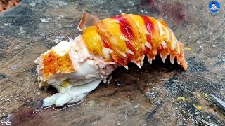 3 வகையான சிங்கி இறால்களை அவிச்சி எடுத்த தனிக் கறி | Boiled Lobster Meat