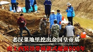 老汉菜地里挖出金国皇帝墓，墓中出土西装吊带袜，款式超前800年【墓史迷踪】