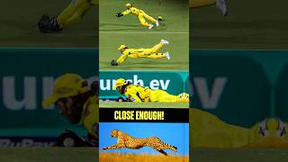 42 Year old Ms dhoni Flying catch💛..#cricketnews #cskvsgt #dhoni #ipl2024