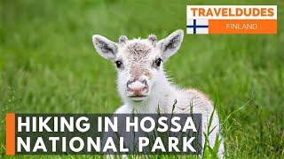 Hossa National Park, Outdoor hiking adventure, Finland [Slow travel in Finland]