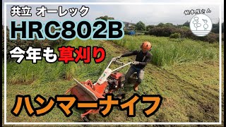 ハンマーナイフモア HRC802Bで草刈り 柔らかい草を刈ってみる【共立/オーレックHRC802B】クローラータイプ