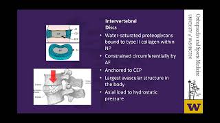 Cervical Disc Arthroplasty - Orhtopaedics & Sports Medicine Grand Rounds - May 2022