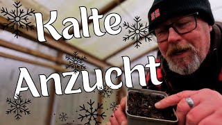 Kalte Anzucht / Teil 1 / Die erste Aussaat im kalten Gewächshaus